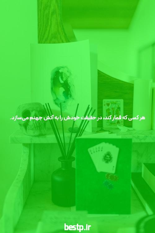 سایت شرط بندی تینیبت