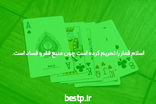 جدیدترین تصاویر از گوشی های پرچمدار شیائومی 12 و شیائومی 12 پرو