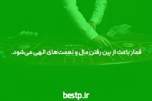 قیمت کبوتر چنده؟