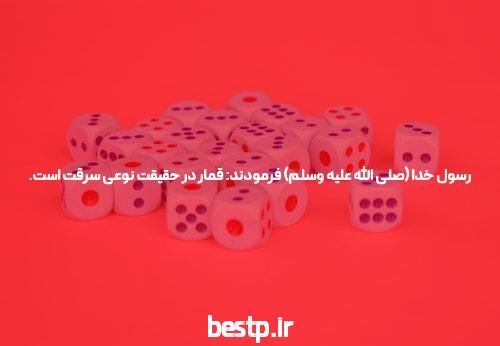 قیمت کبوتر چنده؟