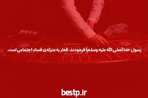 قیمت کبوتر چنده؟