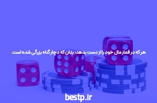 شیمی شیروانی یا عارف ربیعیان؟
