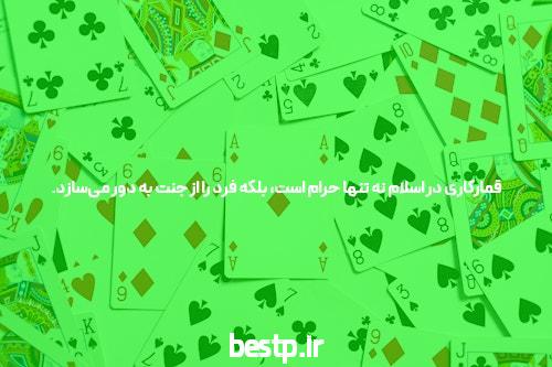 شیمی شیروانی یا عارف ربیعیان؟