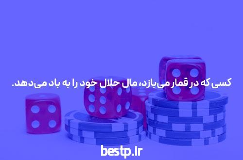 شیمی شیروانی یا عارف ربیعیان؟