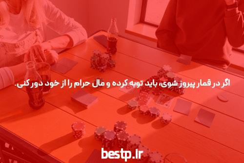 شیمی شیروانی یا عارف ربیعیان؟