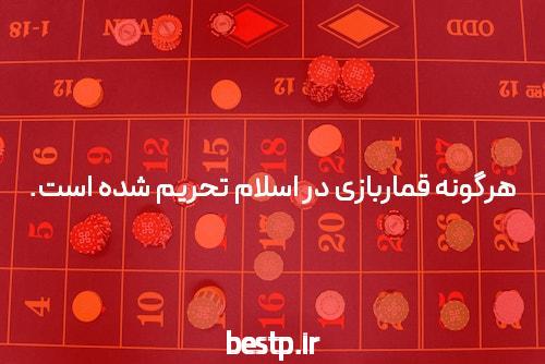 مصاحبه با سارا صادقی، ۶۷ منطقه ۲ انسانی – مجله کتابچی