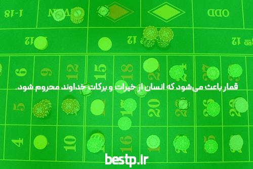 مصاحبه با سارا صادقی، ۶۷ منطقه ۲ انسانی – مجله کتابچی