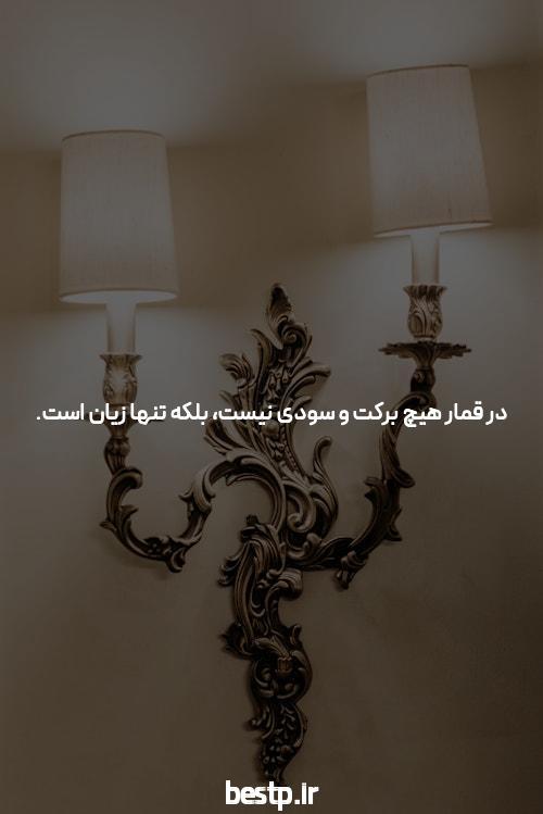 (تصاویر) خرها قهرمانان این روزها در زلزله زده مراکش هستند