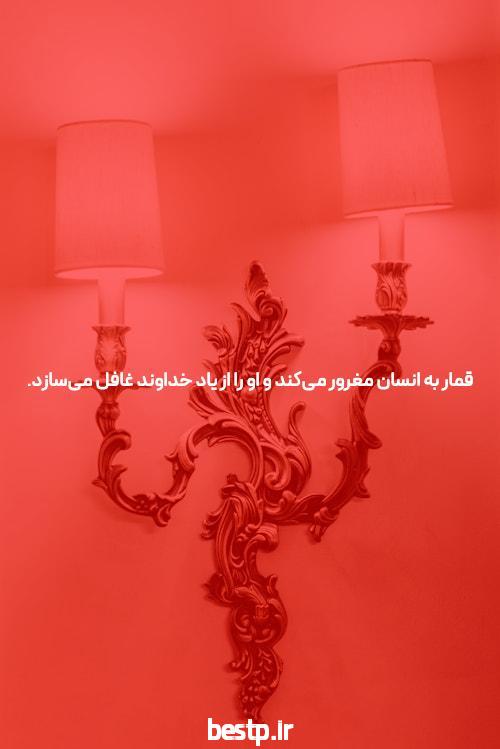 (تصاویر) خرها قهرمانان این روزها در زلزله زده مراکش هستند